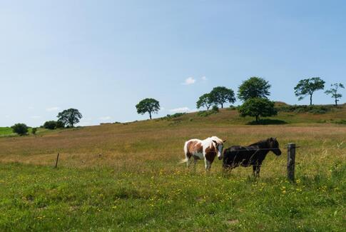 Turen går til: Slaggård Banke