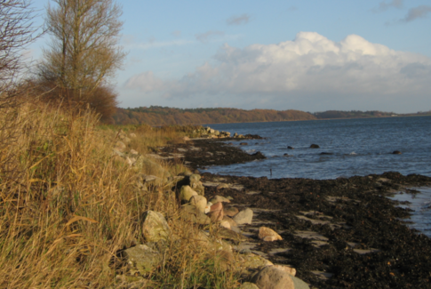 Turen går til: Sondrup Strand og Alrø