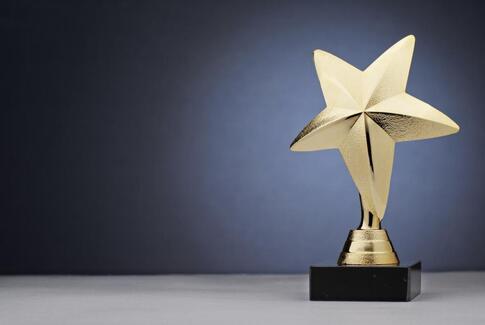 Horsens Y`S MEN`S CLUB uddeler lederpris