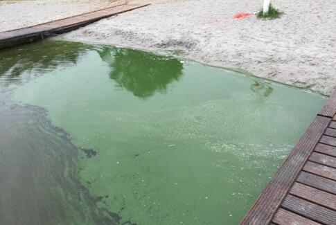 Badning i Ring Sø frarådes