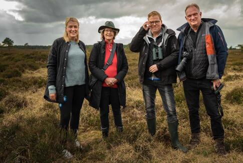 Jagten på den store hornugle i Voervadsbro