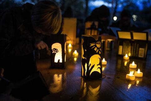 Uhygge i Vitus Bering Parken