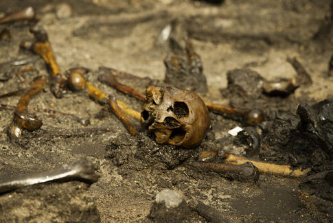 Fund fra Østjylland har bidraget til verdenshistorien