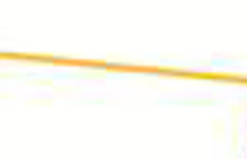 Høje adgangskrav kræver lovsikring af gymnasier i Det Lokale Danmark