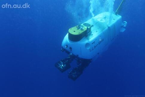 Livestreaming: Dybhavet – fra en ukendt verden