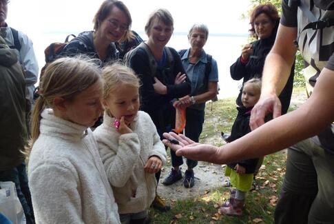 Flere lokale tilbud på Naturens Dag
