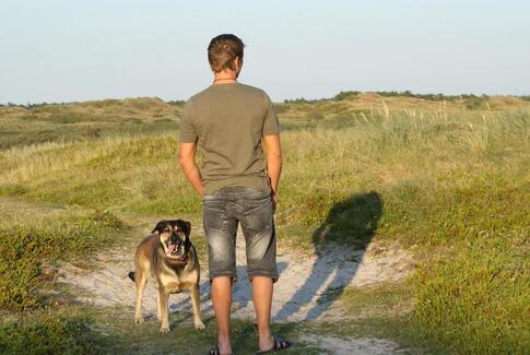 LÆSERBREV: Hvalpetræning på Horsens banegård