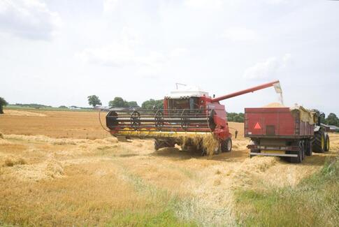 Høstgudstjeneste i Østbirk kirke