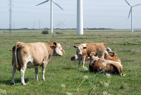 Fem fakta om fremtidens vindmøller