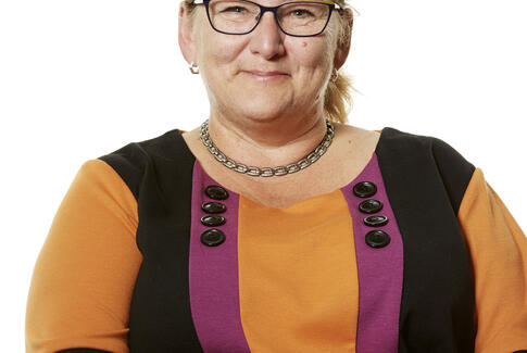 Nu er det nok med den toldmur