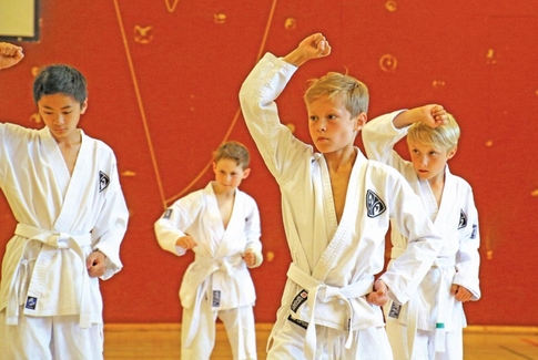 Ju Jitsu / Bukudo Seminar i Gedved