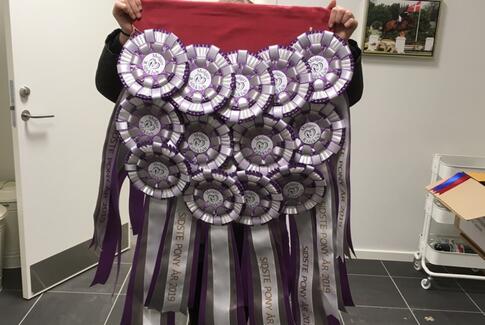 Vellykket distriktsstævne i dressur