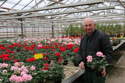 Sæsonen begynder på torsdag i Midtjysk Blomstermarked