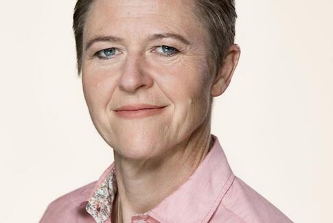 Uambitiøs elbilsaftale bliver uden os