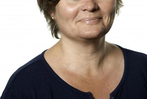 Bag enhver stor dansk virksomhed står en gruppe af små