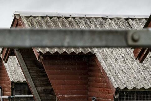 Status på mink-situationen i Region Syddanmark