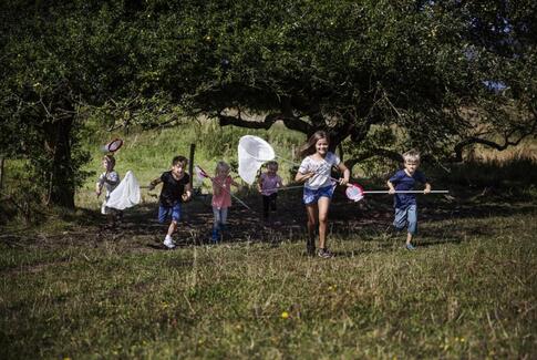 Naturens Dag: 188.000 børn skal ud i naturen