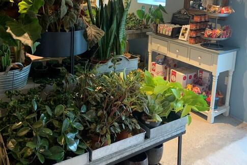 Inspirationsaften hos Blomstermusen