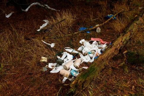 Danskerne samler stadig skrald – hver for sig