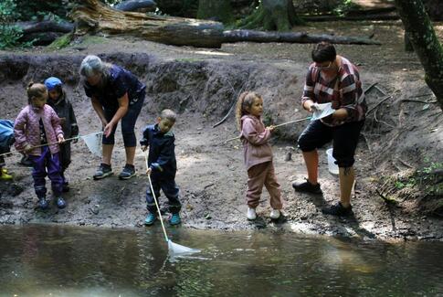Glæd dig, Horsens første skovbørnehave på vej