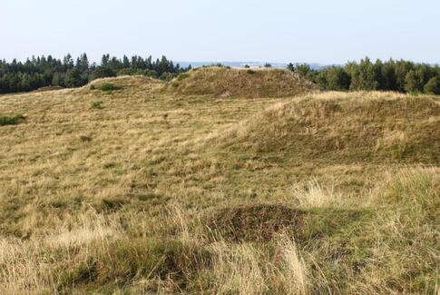 Skumringstur på Slaggård Banke og Vorbjerg Højene
