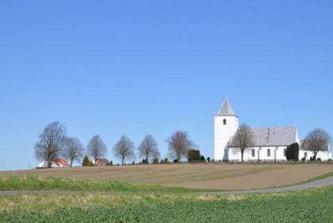 Kongsgård, dåbskirke og detektorfund
